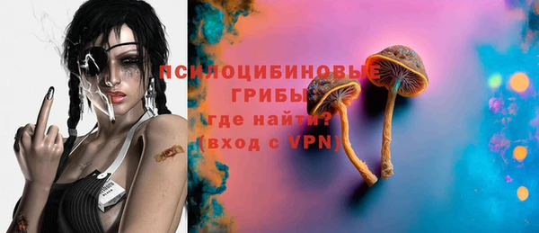 соль ск Дмитриев