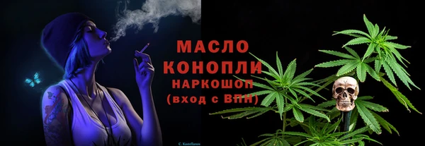 соль ск Дмитриев