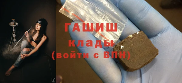 соль ск Дмитриев