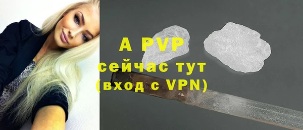 мдпв Гусь-Хрустальный