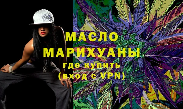 соль ск Дмитриев