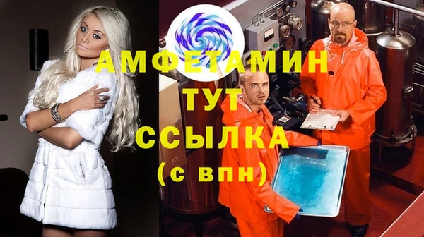 мдпв Гусь-Хрустальный