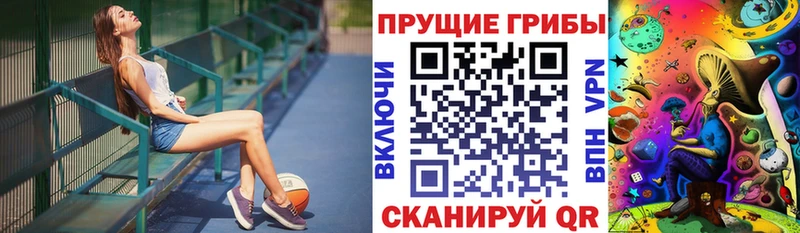 Купить закладки  Кондопога  Псилоцибиновые грибы GOLDEN TEACHER 